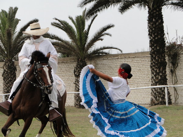 Horse and Dancer doing the Paso
