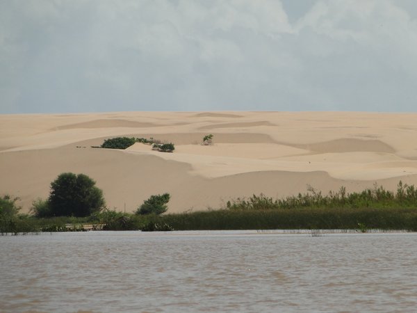 Sand Dunes on the Delta