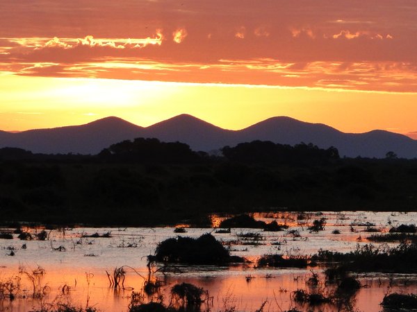 Pantanal Sunset
