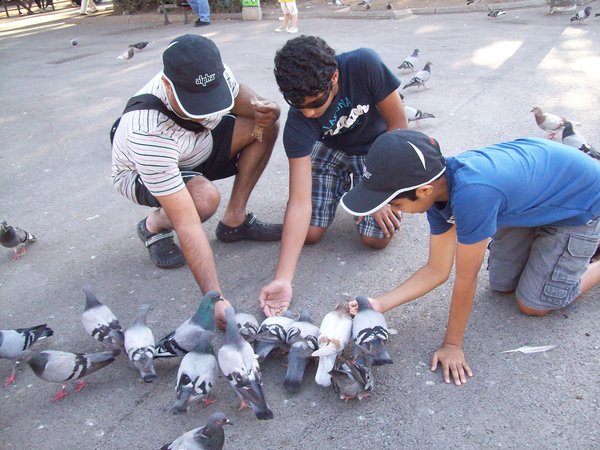 1d Feeding Pigeons at Placa de Catalunya