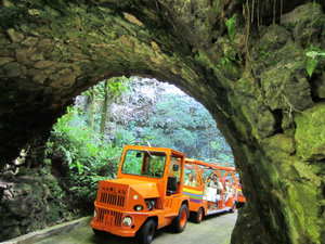 Train ride to Rio Camuy cave