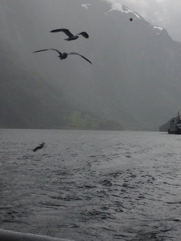 Fjords and Mountains, Norway