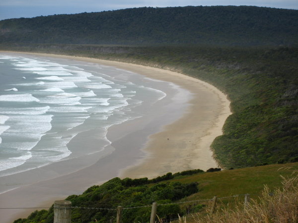 Another Beach in Catlins