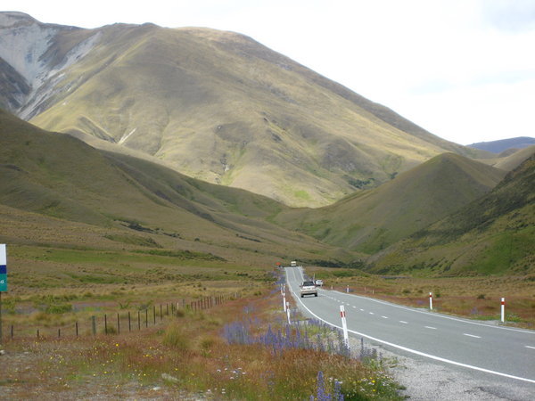Views of hillside