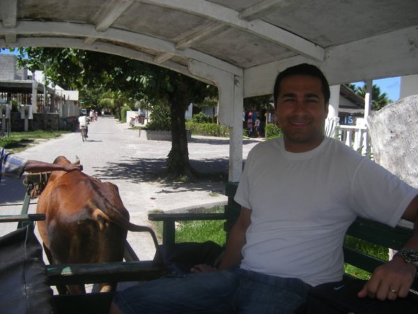 paul inside the ox-cart