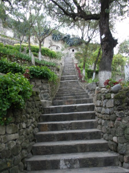 Steps up to the gardens