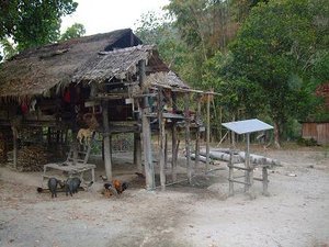 villages hut