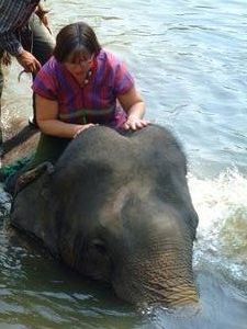i'm actually swimming with an elephant !