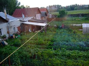 view of allotments from my dorm
