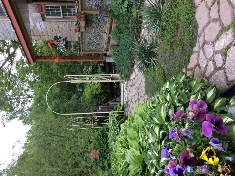 Part of the garden
