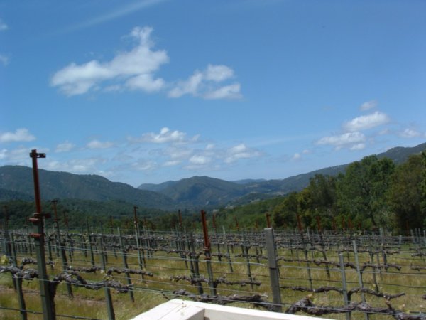 Joullian Vineyards, Cachagua