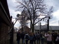 The gate to Auschwitz