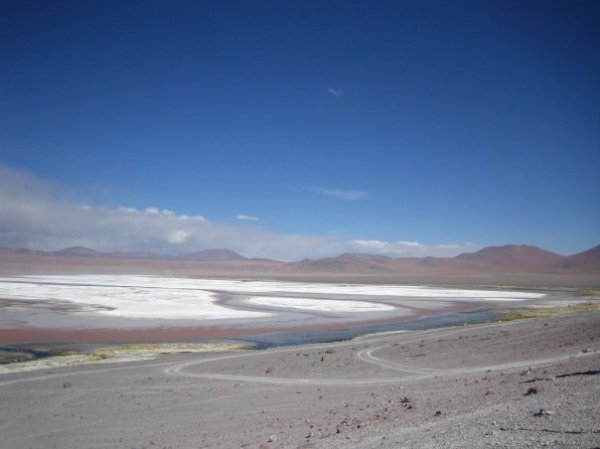 Tour Chili - Bolivia, Laguna Colorado. A very big lake with amazing colours.