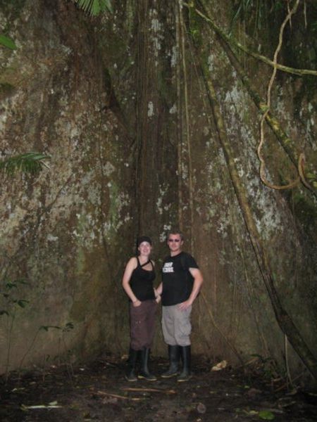Standing in between roots of a massive tree