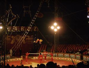 Circus Suarez 