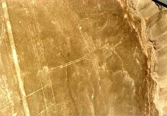 Hummingbird, Nazca Lines