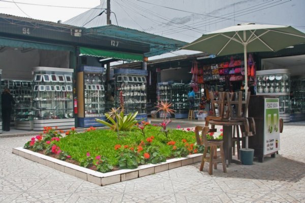 Markets, Miraflores