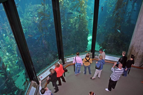 Monterey Aquarium