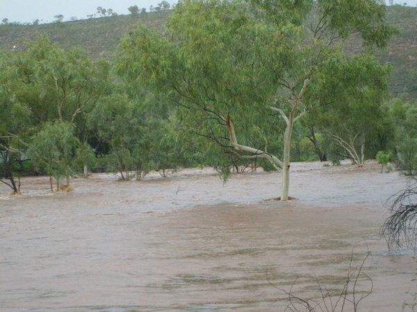 More Flooding