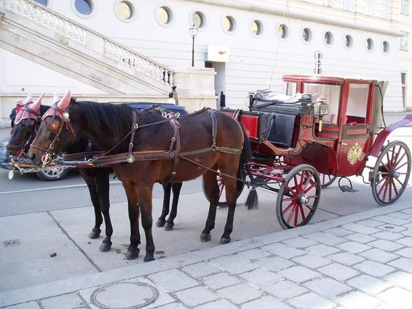 Horsedrawn Carriage