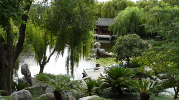 Chinese Gardens - 15