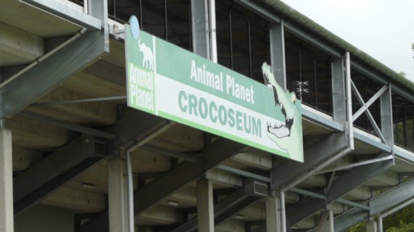 Crocoseum