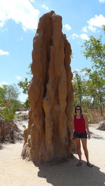 Termite mounds - 1