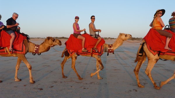 Camel Ride - 7