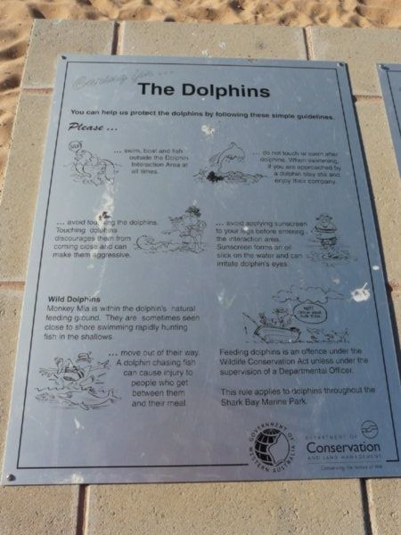 Dolphine Rules