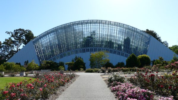 Botanic Gardens - 5