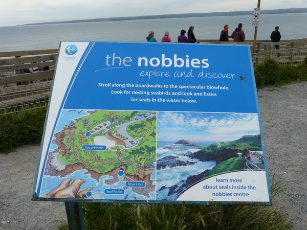 The Nobbies