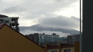 Mt Wellington - 08