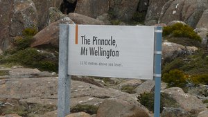 Mt Wellington - 04