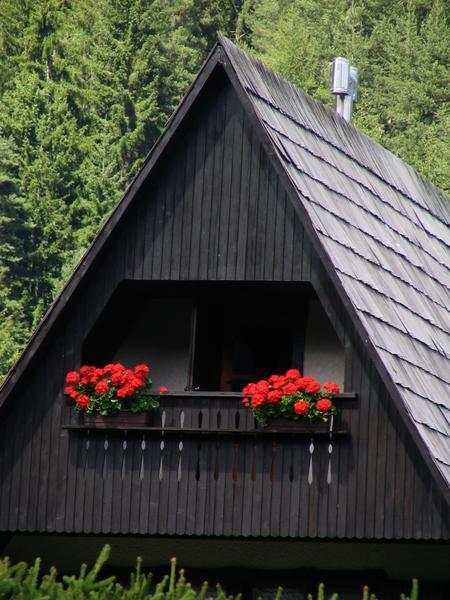 Alpine house