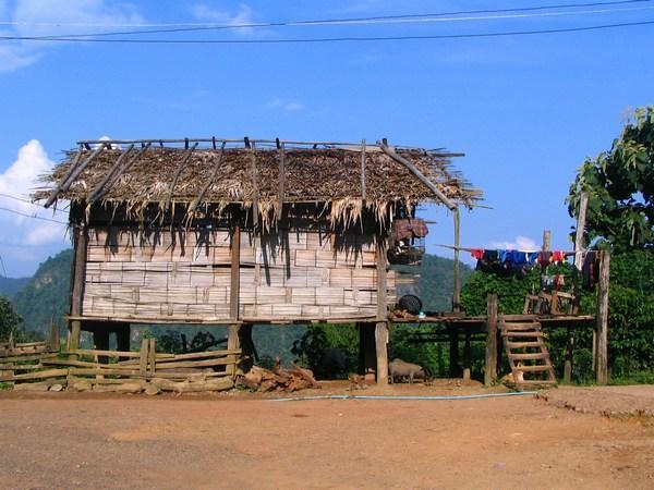 What the typical village hut there looks like