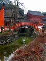Giant orange torii gates 