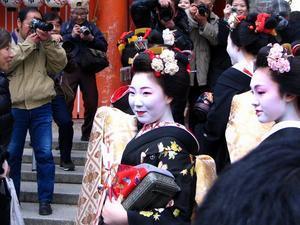 The Geisha at Yasaka Shrine