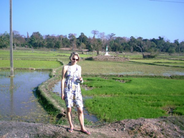 In front of the rice fields