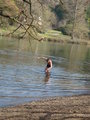 Swimming in the Thames