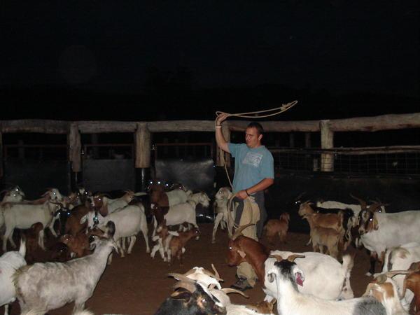 Me + Goats = rubbish