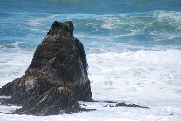 Seal's Rock