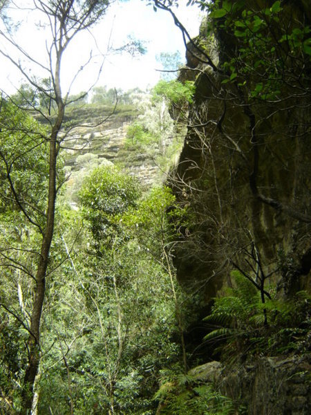 Vertical cliffs