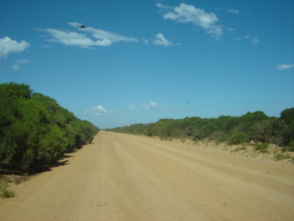 Dirt road in the outback 