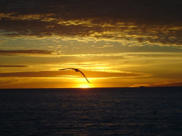 Our last Aussie sunset