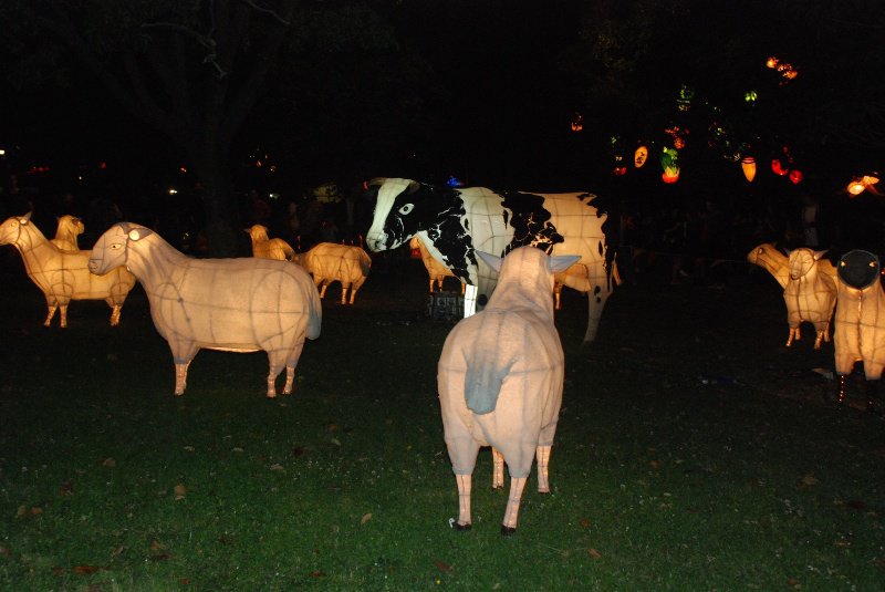 Lantern Sheep & Cow - Chinese style!