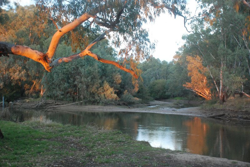 Waking up by the Murray River