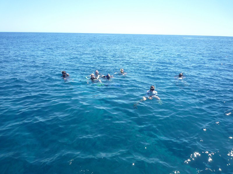 In the water waiting for the Whale Shark