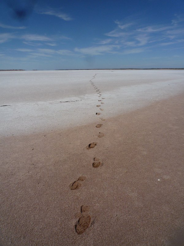 Our Footsteps across the salt lake