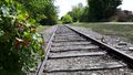 Clearview_Collingwood Train Trail (10)