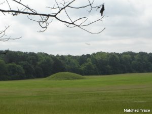 Pharr Mounds